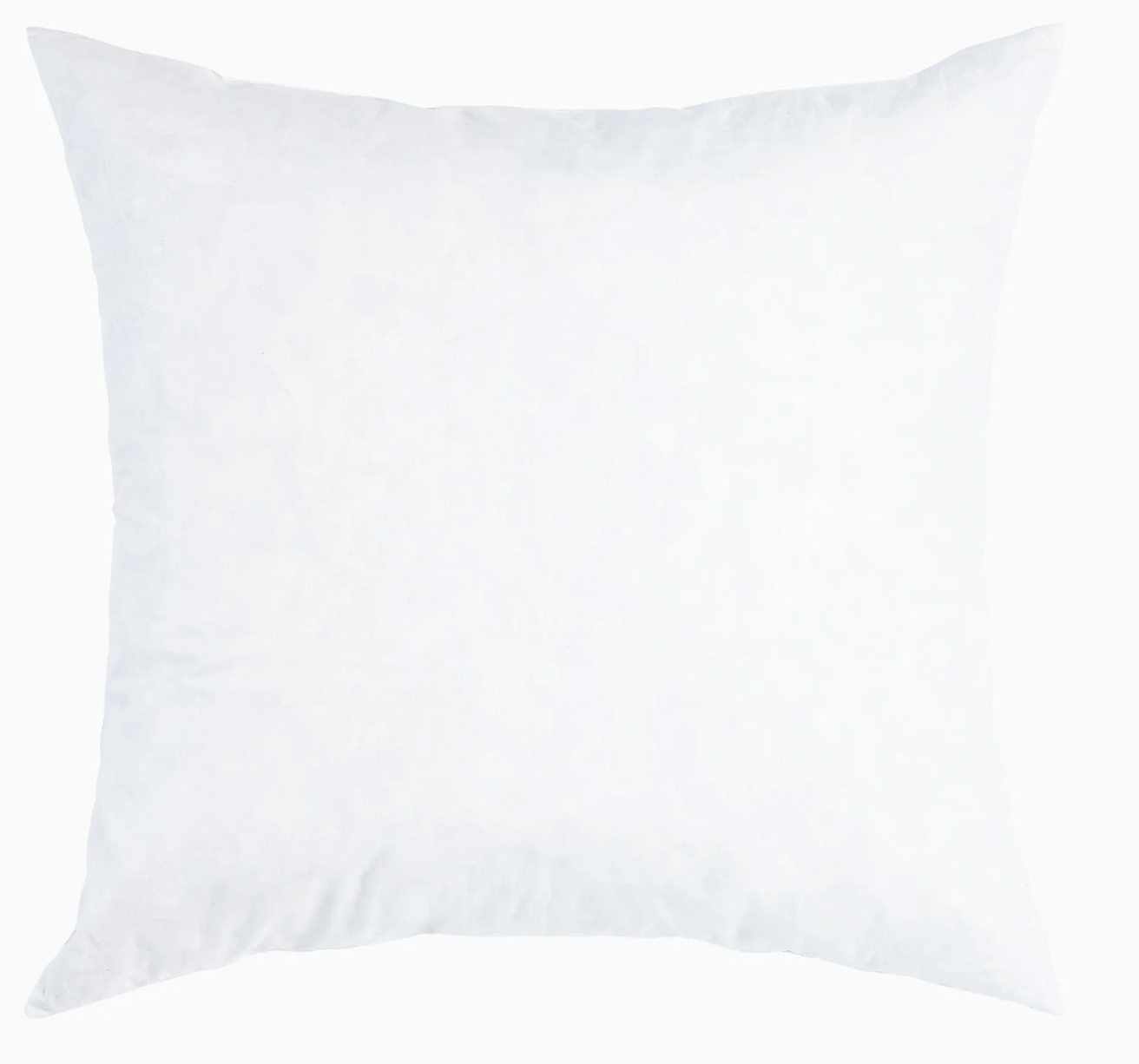 Decorative Pillow Insert - assorted sizes