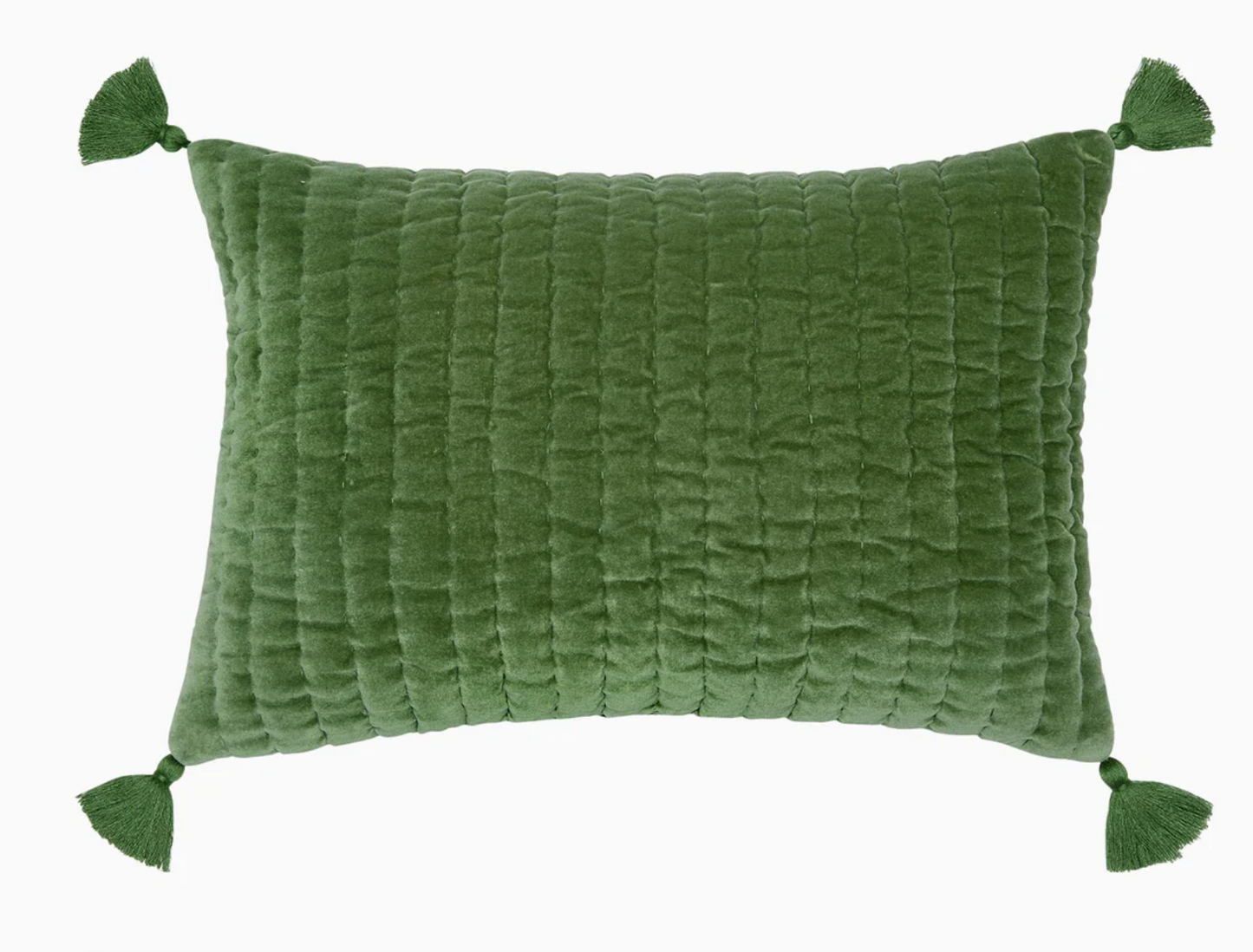 Velvet Decorative Kidney Pillow